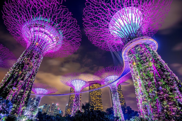Singapore city scape at night